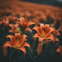 AI generated orange lilies in a field of dark green grass photo