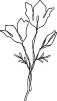 Flower Line Art Continuous vector