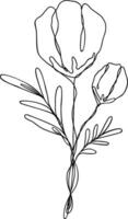 Flower Line Art Continuous vector