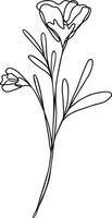 Flower Line Art Continuous vector