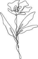 Flower Line Art Continuous vector