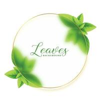 green leaves frame eco background vector