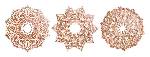 Tres detallado mandala modelo étnico conjunto vector