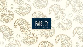beautiful paisley pattern stylish background vector