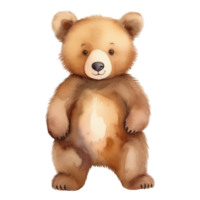 ai generato carino orsacchiotto orso isolato acquerello illustrazione. png