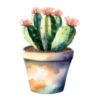 cactus planta acuarela ilustración clipart png