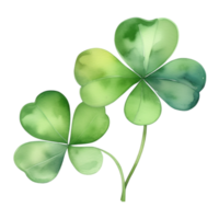 Clover Leaves Watercolor Illustration Clipart png