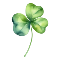 Clover Leaves Watercolor Illustration Clipart png