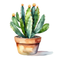 kaktus växt vattenfärg illustration ClipArt png