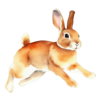 Cute rabbit watercolor illustration clipart png