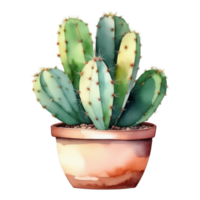 Kaktus Pflanze Aquarell Illustration Clip Art png