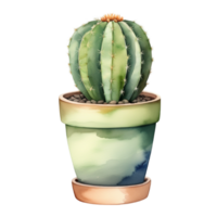 cactus planta acuarela ilustración clipart png