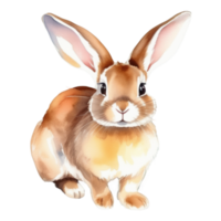 mignonne lapin aquarelle illustration clipart png