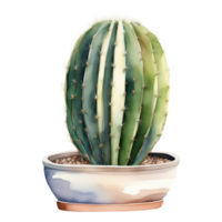 cactus planta acuarela ilustración clipart png