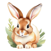 Cute rabbit watercolor illustration clipart png