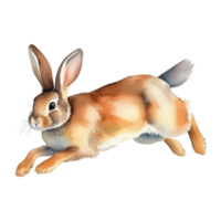 Cute rabbit watercolor illustration clipart png