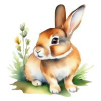 carino coniglio acquerello illustrazione clipart png