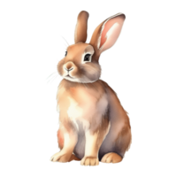söt kanin vattenfärg illustration ClipArt png