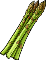 AI generated Asparagus clipart design illustration png