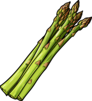 ai généré asperges clipart conception illustration png