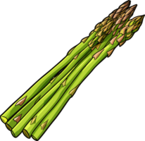 ai généré asperges clipart conception illustration png