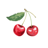 Aquarell Kirsche Beeren png