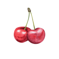 Aquarell Kirsche Beeren png