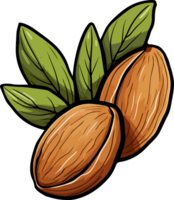 AI generated Almond clipart design illustration png