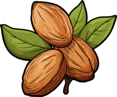 AI generated Almond clipart design illustration png