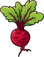 AI generated Beetroot clipart design illustration png