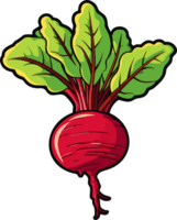 AI generated Beetroot clipart design illustration png