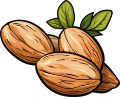 AI generated Almond clipart design illustration png