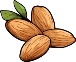AI generated Almond clipart design illustration png