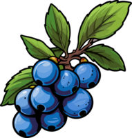 AI generated Blueberries clipart design illustration png