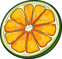 AI generated Citrus slice clipart design illustration png