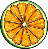 AI generated Citrus slice clipart design illustration png