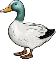 ai gerado Pato clipart Projeto ilustração png