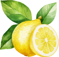 AI generated Watercolor lemon clipart design illustration png