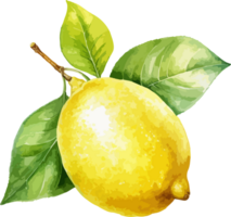 ai généré aquarelle citron clipart conception illustration png