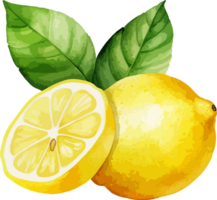 ai généré aquarelle citron clipart conception illustration png