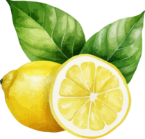 ai généré aquarelle citron clipart conception illustration png