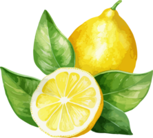 AI generated Watercolor lemon clipart design illustration png