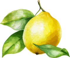 AI generated Watercolor lemon clipart design illustration png