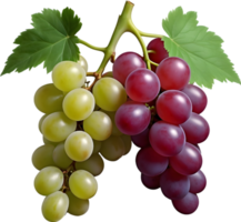 ai generado uvas en un rama con hojas en un transparente antecedentes png