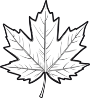 AI generated maple leaf clipart - clipart png