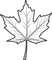 AI generated maple leaf clipart - clipart png