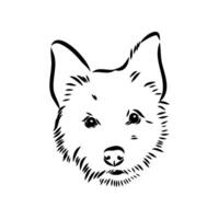 Australian terrier vector sketch