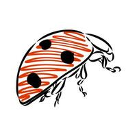 insecto mariquita vector bosquejo