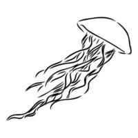 medusa vector bosquejo