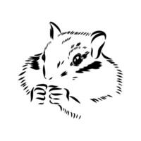 chipmunk vector sketch